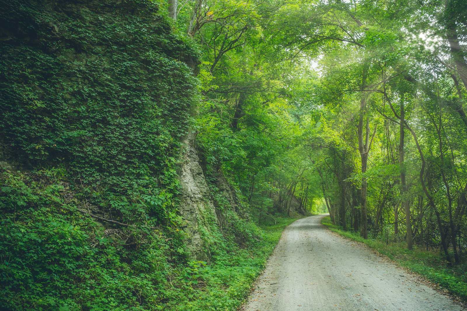 The Katy Trail