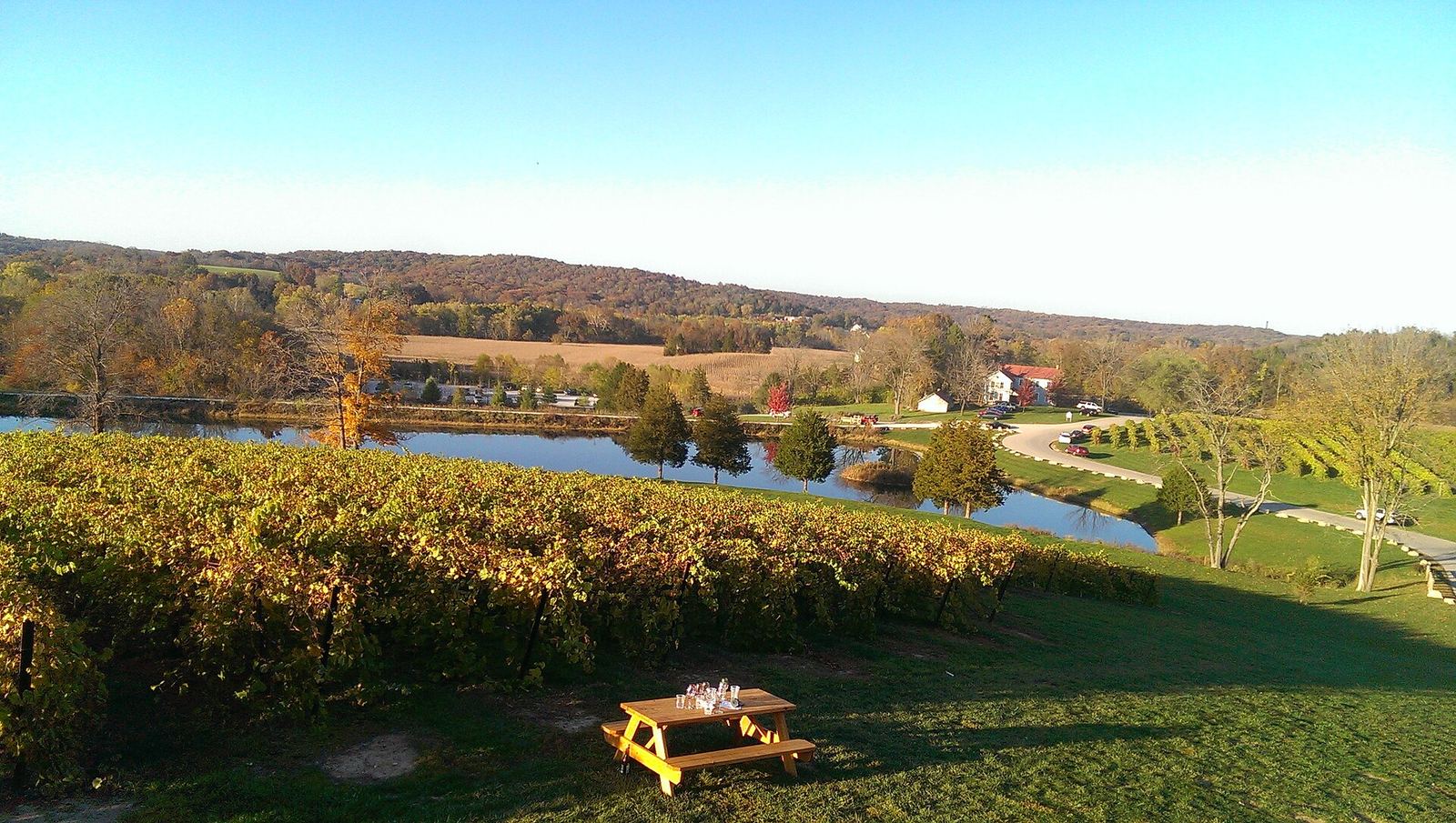 Vineyards in Missouri wine country